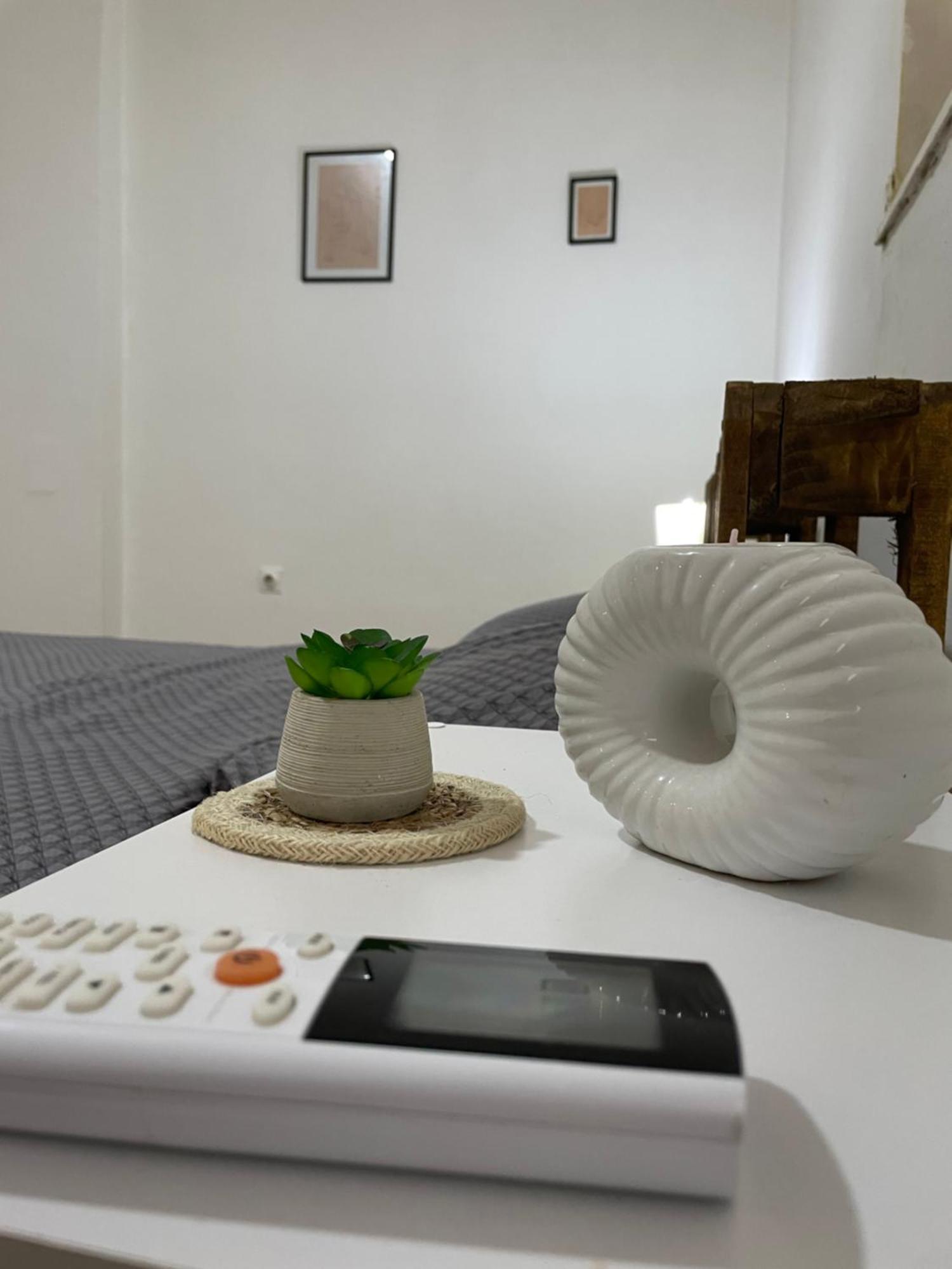 Fenix Apartman II Zaječar Εξωτερικό φωτογραφία